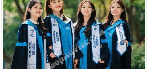 sash tốt nghiệp đại học kinh tế quốc dân - NEU